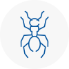 Ant Removals In Corby