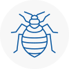 Bed Bug Extermination In Corby