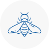 Bee Nest Removal Corby