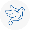 Bird Prevention Corby