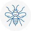 Corby Hornet Nest Removals