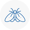 Moth Control Specialists In Corby