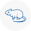 Rat Control Corby