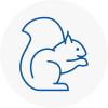 Corby Rodent Removals